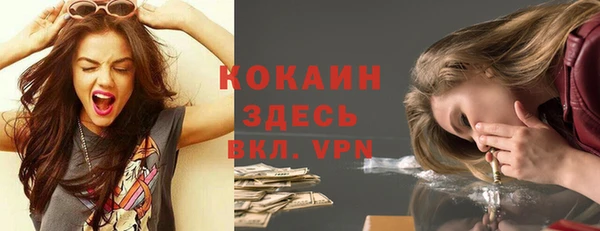 соль ск Арсеньев