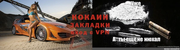 хмурый Аркадак