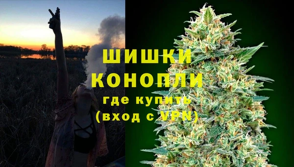хмурый Аркадак