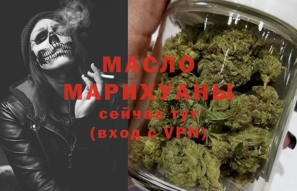 хмурый Аркадак