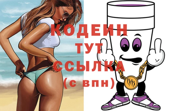 хмурый Аркадак