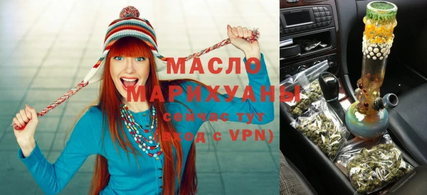 хмурый Аркадак