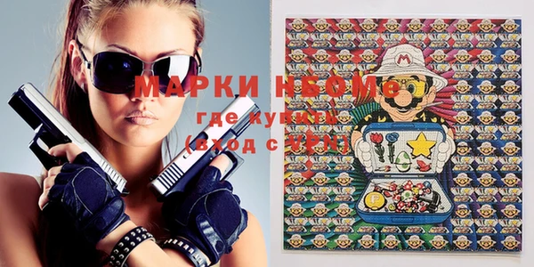 хмурый Аркадак