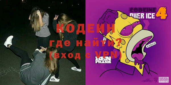 хмурый Аркадак