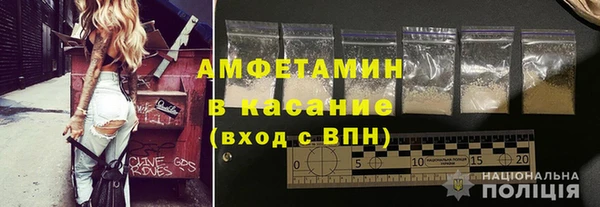 хмурый Аркадак