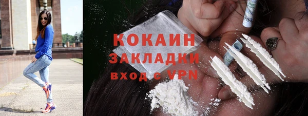 хмурый Аркадак