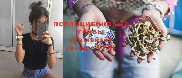 соль ск Арсеньев