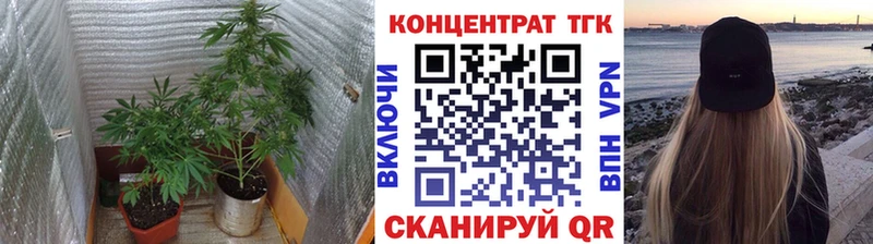 ТГК Wax Севск