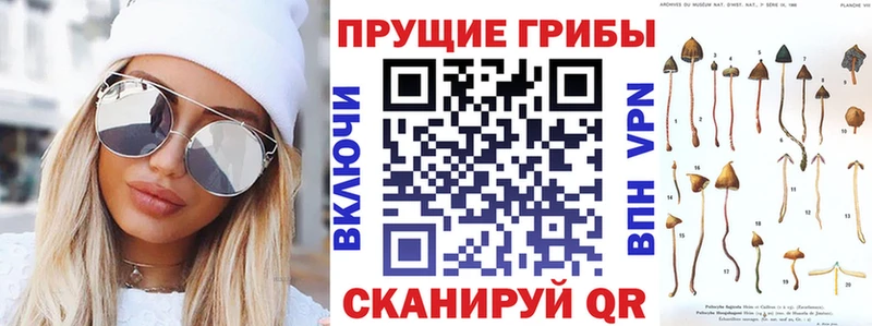 Псилоцибиновые грибы Psilocybe  мега ссылка  Севск 